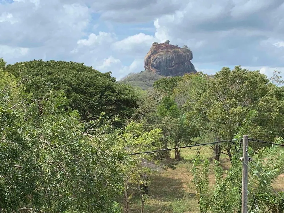 Hotel Sigiriya Rock Hide