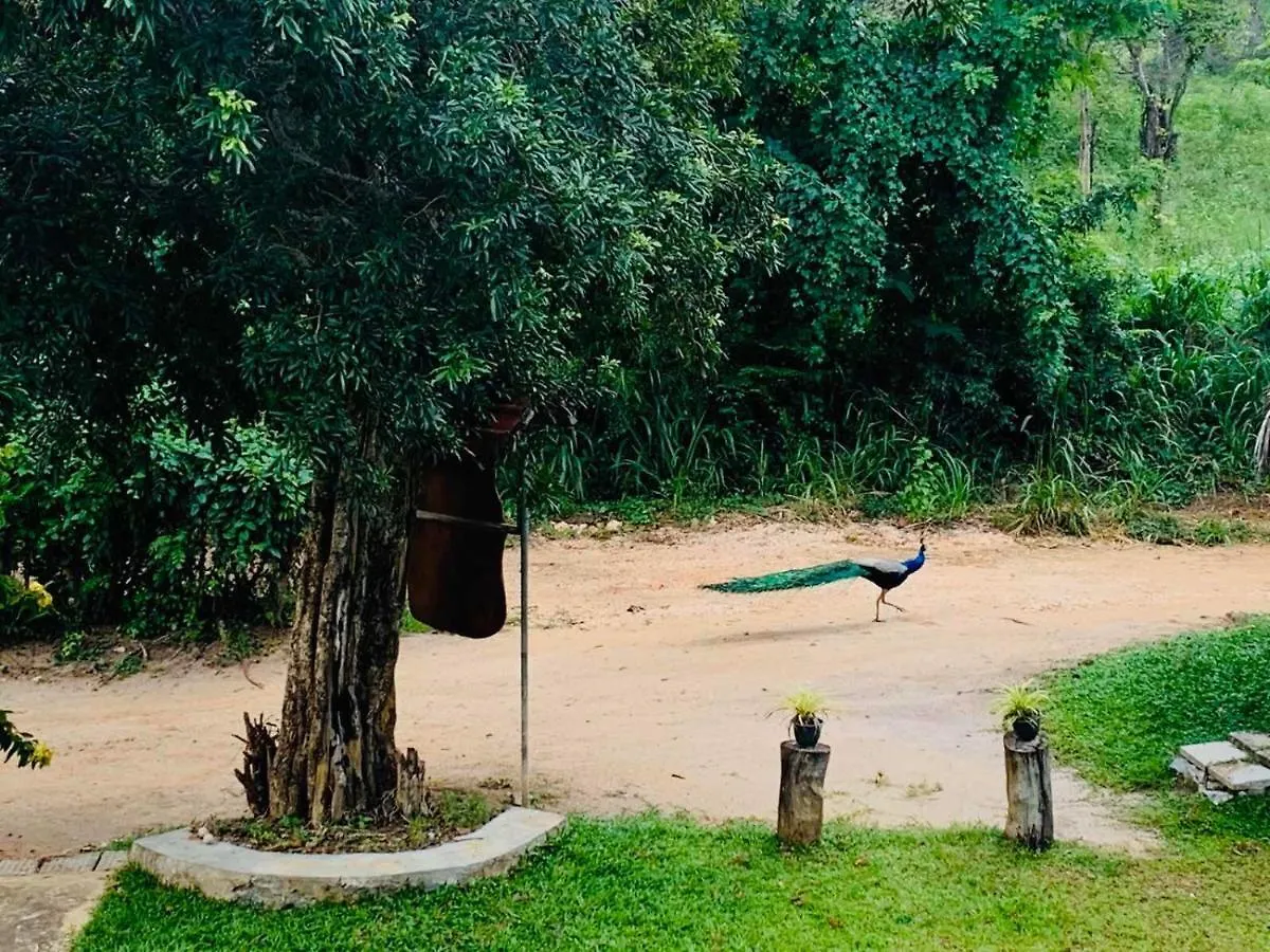 Pensjonat Hotel Sigiriya Rock Hide
