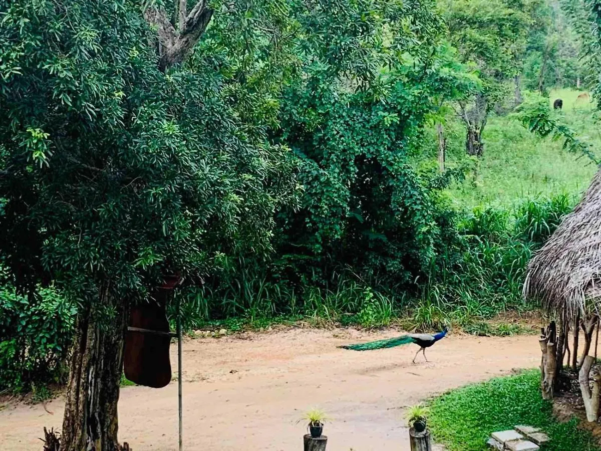 *** Pensjonat Hotel Sigiriya Rock Hide Sri Lanka